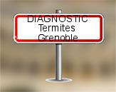 Diagnostic Termite ASE  à Grenoble